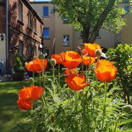 City Appartement Mit Garten, Zentral Und Trotzdem Ruhig Cottbus Dış mekan fotoğraf