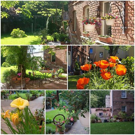 City Appartement Mit Garten, Zentral Und Trotzdem Ruhig Cottbus Dış mekan fotoğraf