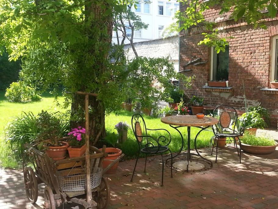 City Appartement Mit Garten, Zentral Und Trotzdem Ruhig Cottbus Dış mekan fotoğraf