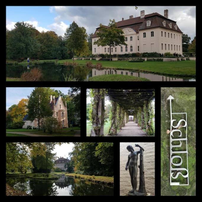 City Appartement Mit Garten, Zentral Und Trotzdem Ruhig Cottbus Dış mekan fotoğraf