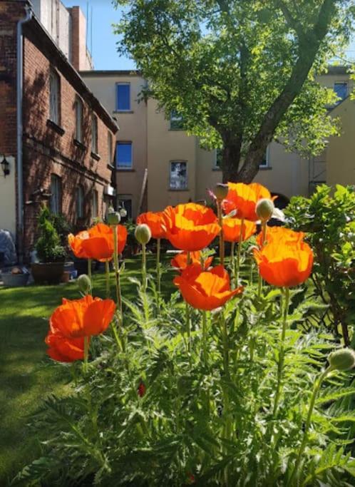 City Appartement Mit Garten, Zentral Und Trotzdem Ruhig Cottbus Dış mekan fotoğraf